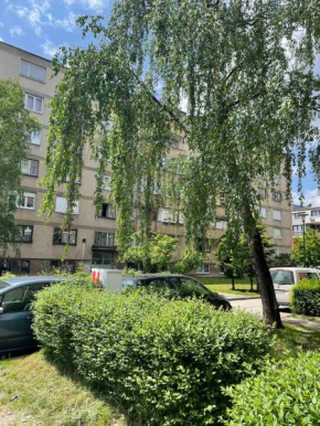 Apartment Azzul